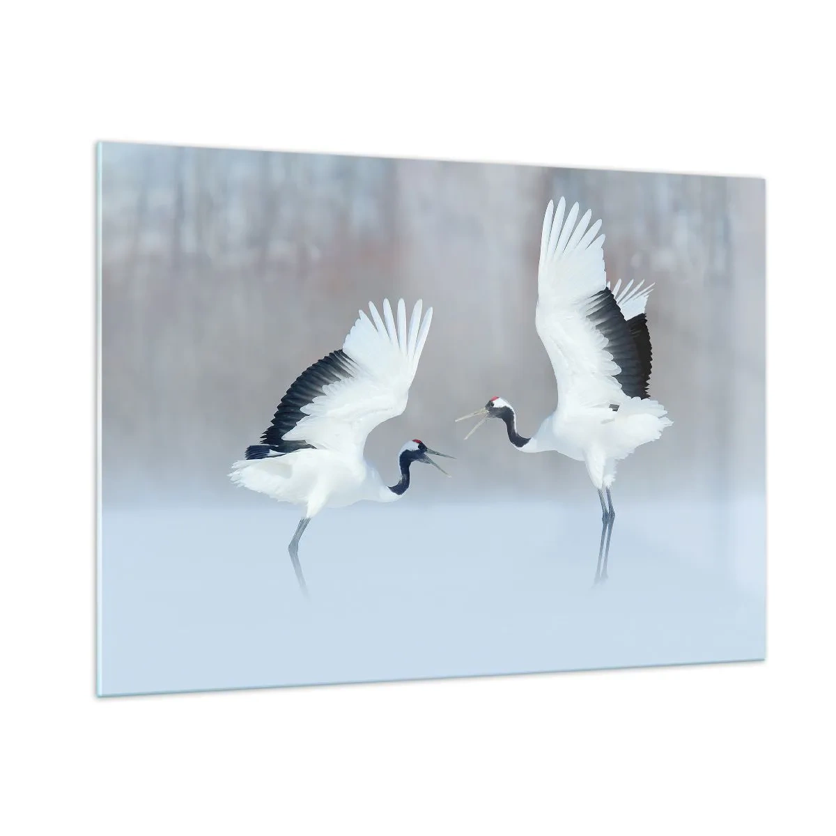 Quadro su vetro - Gru danzanti sullo sfondo di un paesaggio invernale - 100x70cm - Danza nella nebbia - Decorazione murale moderna per soggiorno e camera da letto ARTTOR