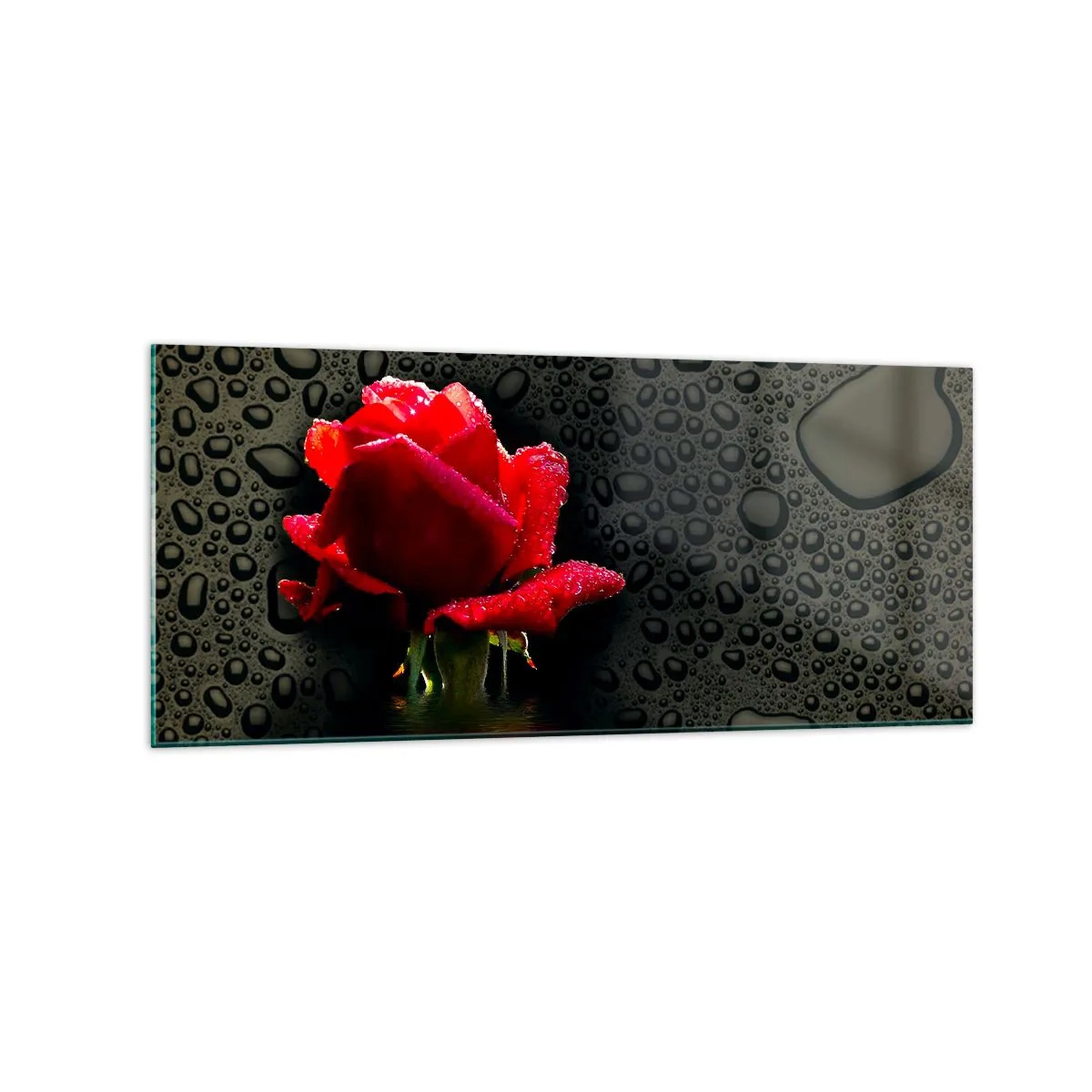Quadro su vetro - Rosa rossa con gocce d'acqua su sfondo scuro - 120x50cm - Rosso e nero - Decorazione murale moderna per soggiorno e camera da letto ARTTOR