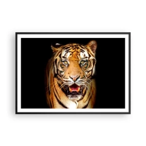 Poster in cornice nera - Una tigre con la bocca aperta su uno sfondo nero - 100x70cm - Cuore selvatico - Decorazione murale moderna per soggiorno e camera da letto ARTTOR