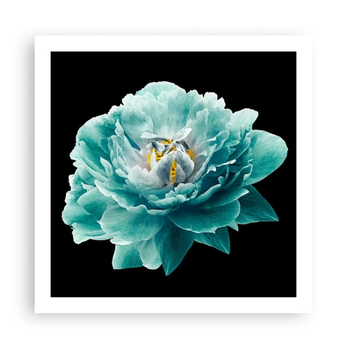 Poster - Petali blu e oro - 60x60 cm