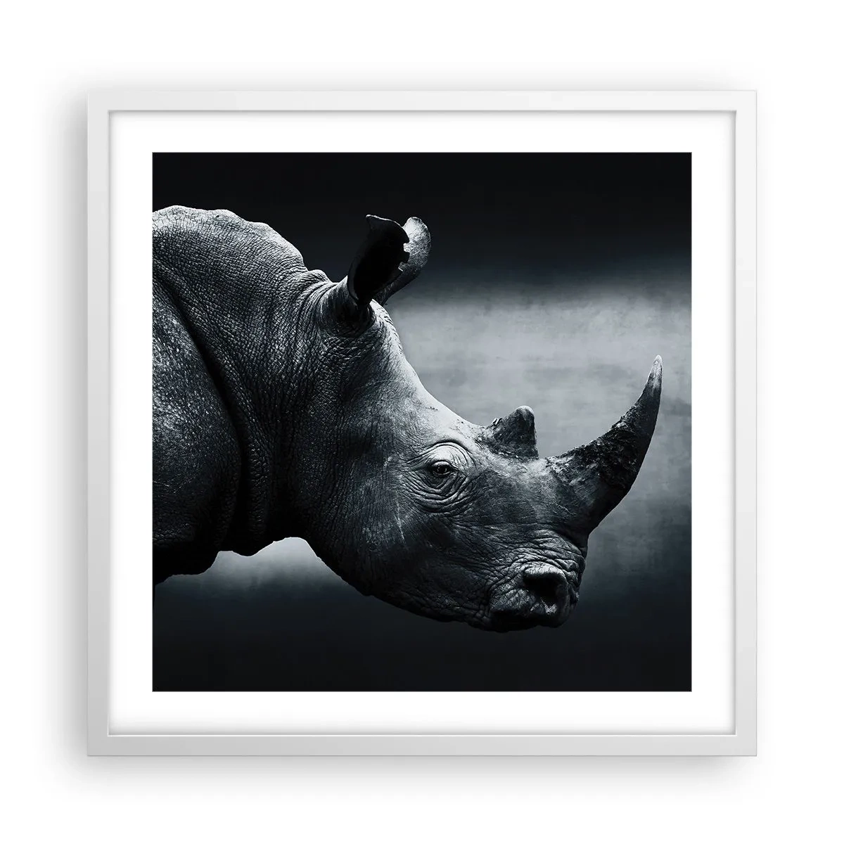 Poster in cornice bianca - Profilo destro - 50x50 cm