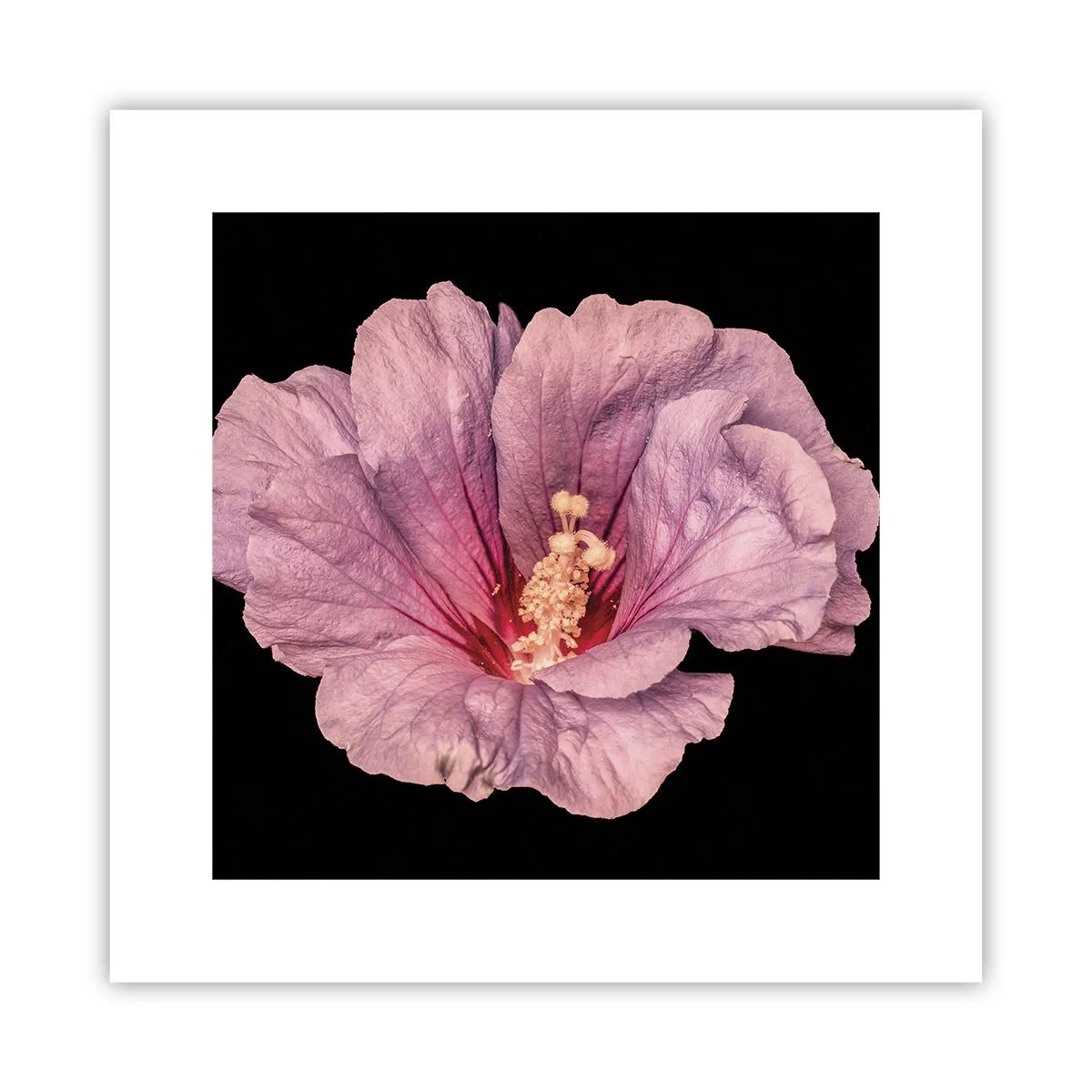 Poster - Dritto al cuore - 30x30 cm