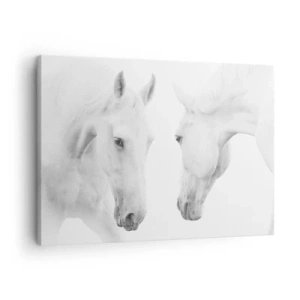 Quadro su tela - Stampe su Tela - Un ritratto minimalista di due cavalli bianchi - 70x50cm - È amicizia? - Decorazione murale moderna per soggiorno e camera da letto ARTTOR