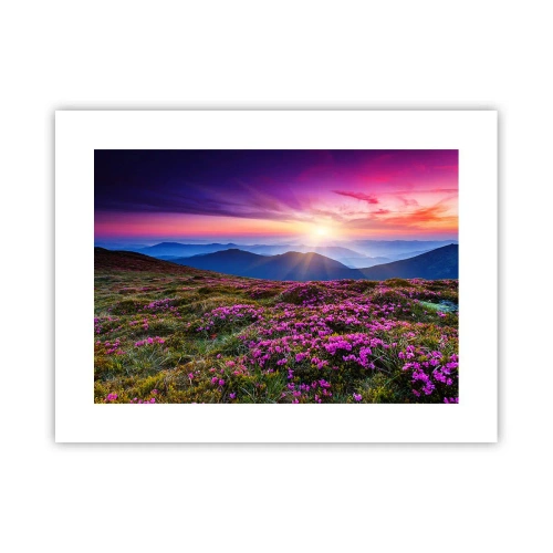 Poster - Il profumo dei fiori freschi del campo - 40x30 cm
