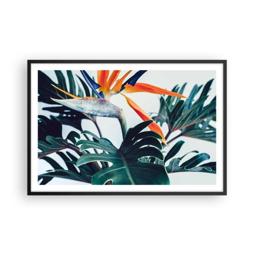Poster in cornice nera - Pianta uccello - 91x61 cm