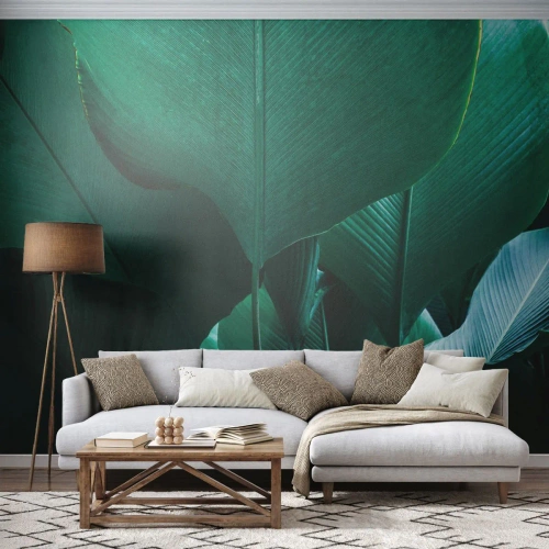 Fotomurali Premium Canvas - Verso la luce - Foglia di banana, Albero di banane, Pianta - 450x315 cm