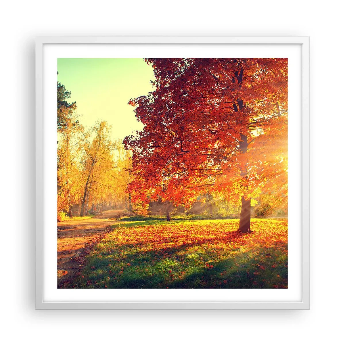 Poster in cornice bianca - Rosso è bello - 60x60 cm
