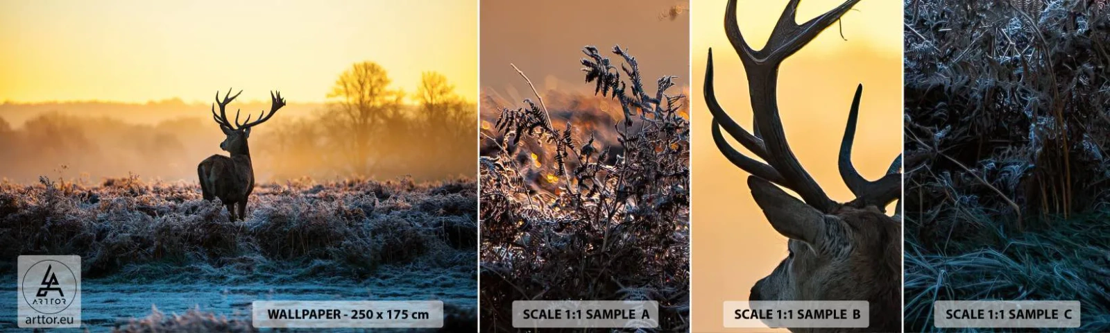 Campione Di Fotomurale Standard Eco - Incoronato nelle sue terre - Paesaggio, Animali, Cervo - 100x30 cm