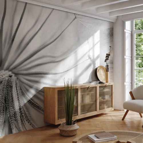 Fotomurali Premium Sand - Denti di leone, aquiloni - Minimalismo, Delicato, Fiore - 300x210 cm