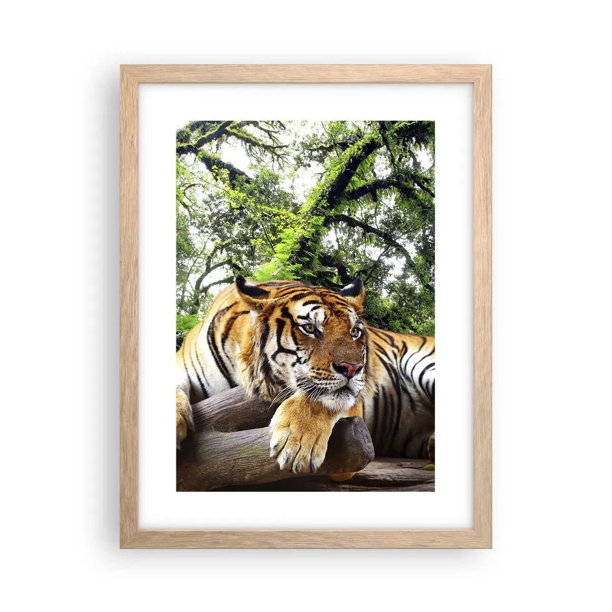 Poster in cornice rovere chiaro - Con espressioni di stima - 30x40 cm