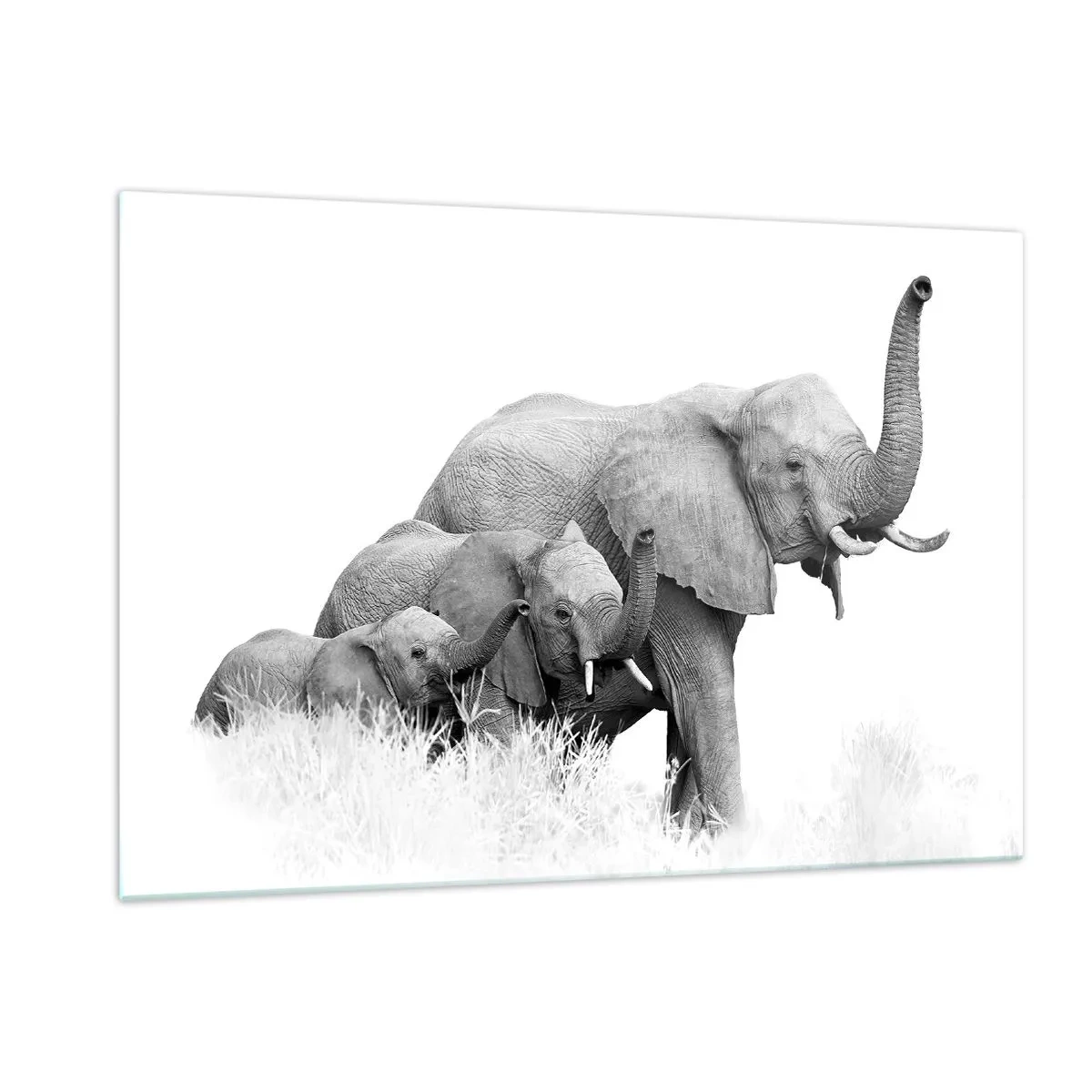Quadro su vetro - Famiglia di elefanti bianchi e neri in natura - 120x80cm - Uno, due, tre - Decorazione murale moderna per soggiorno e camera da letto ARTTOR