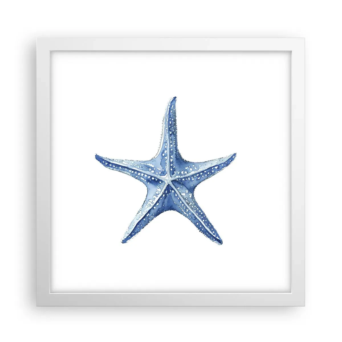 Poster in cornice bianca - Stella marina - 30x30 cm