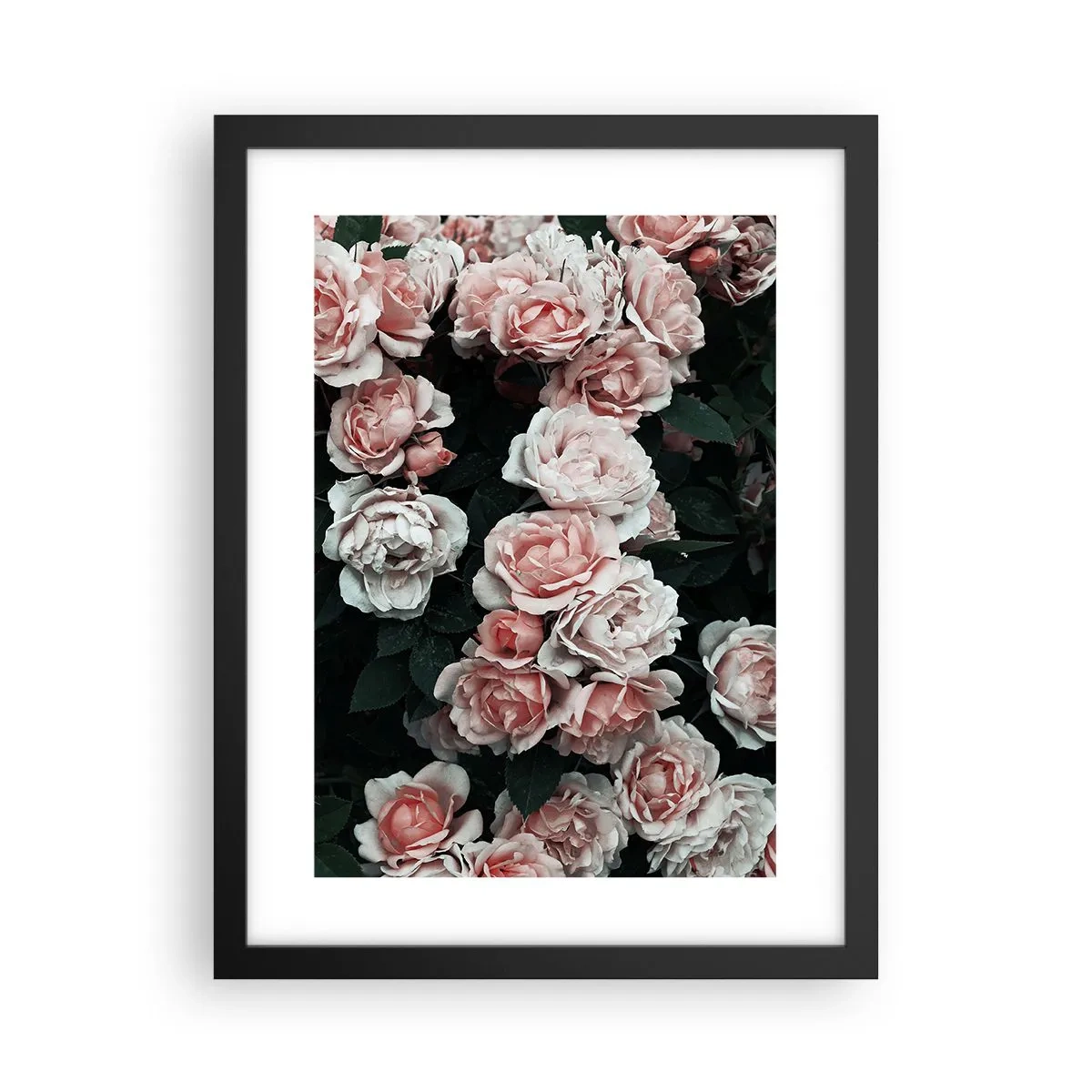 Poster in cornice nera - Composizione di rose - 30x40 cm
