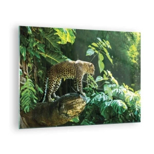Quadro su vetro - Leopardo su una roccia nella giungla tropicale - 70x50cm - A caccia? - Decorazione murale moderna per soggiorno e camera da letto ARTTOR