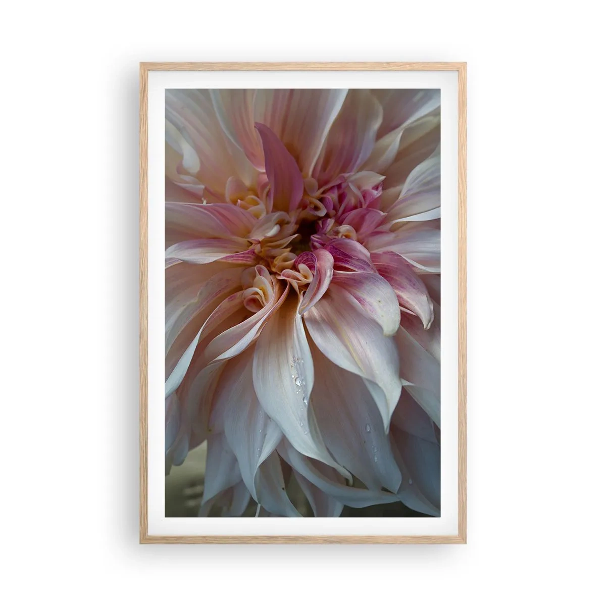 Poster in cornice rovere chiaro - Freschezza in fiore - 61x91 cm