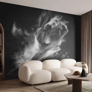 Fotomurali Premium Canvas - Fermo in volo - Ballerino, Balletto, Cultura - 300x210 cm