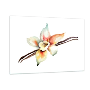 Quadro su vetro - Illustrazione ad acquerello di un fiore di vaniglia su sfondo bianco - 120x80cm - Dolcezza versata con la vernice - Decorazione murale moderna per soggiorno e camera da letto ARTTOR