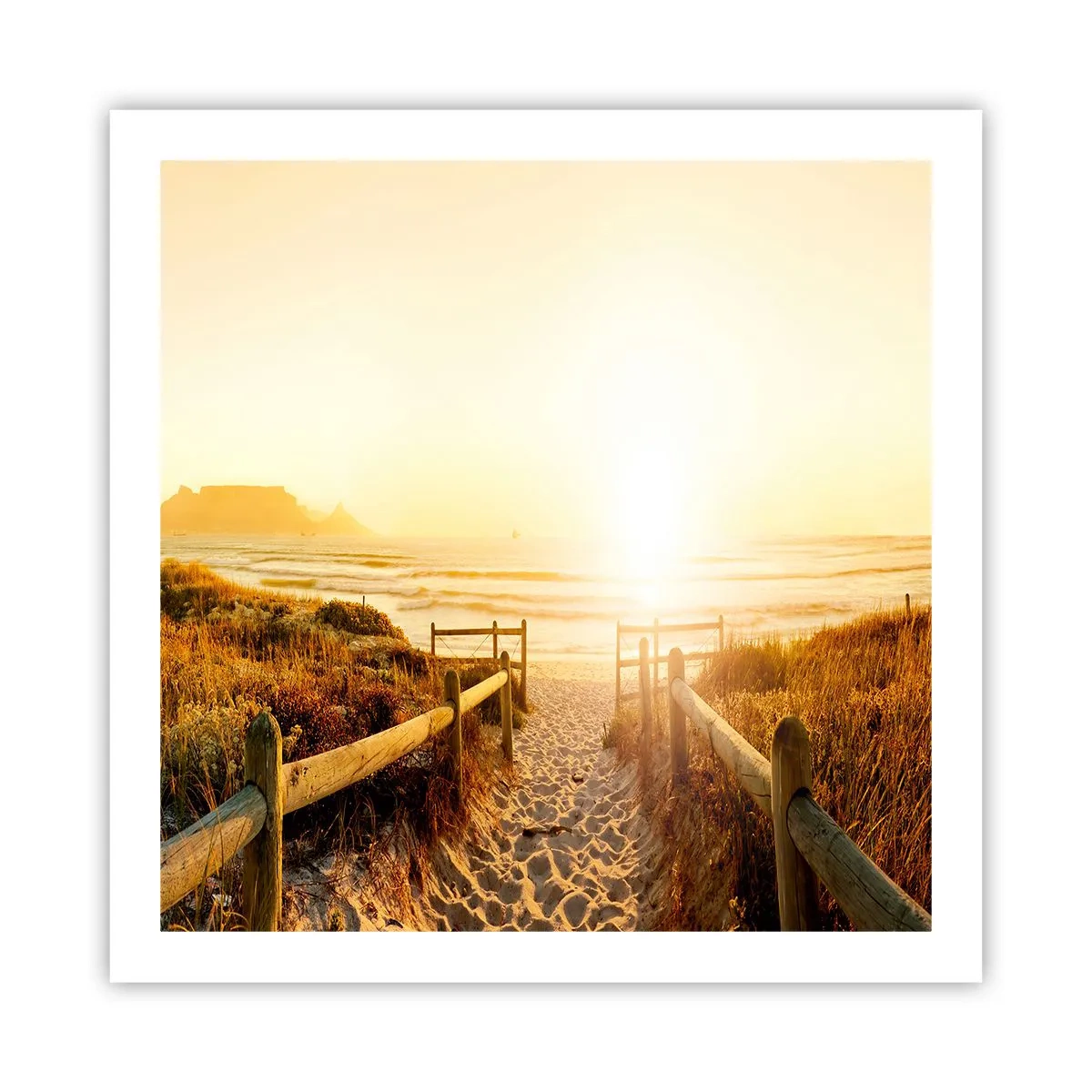 Poster - Attraverso la duna, verso il sole - 60x60 cm