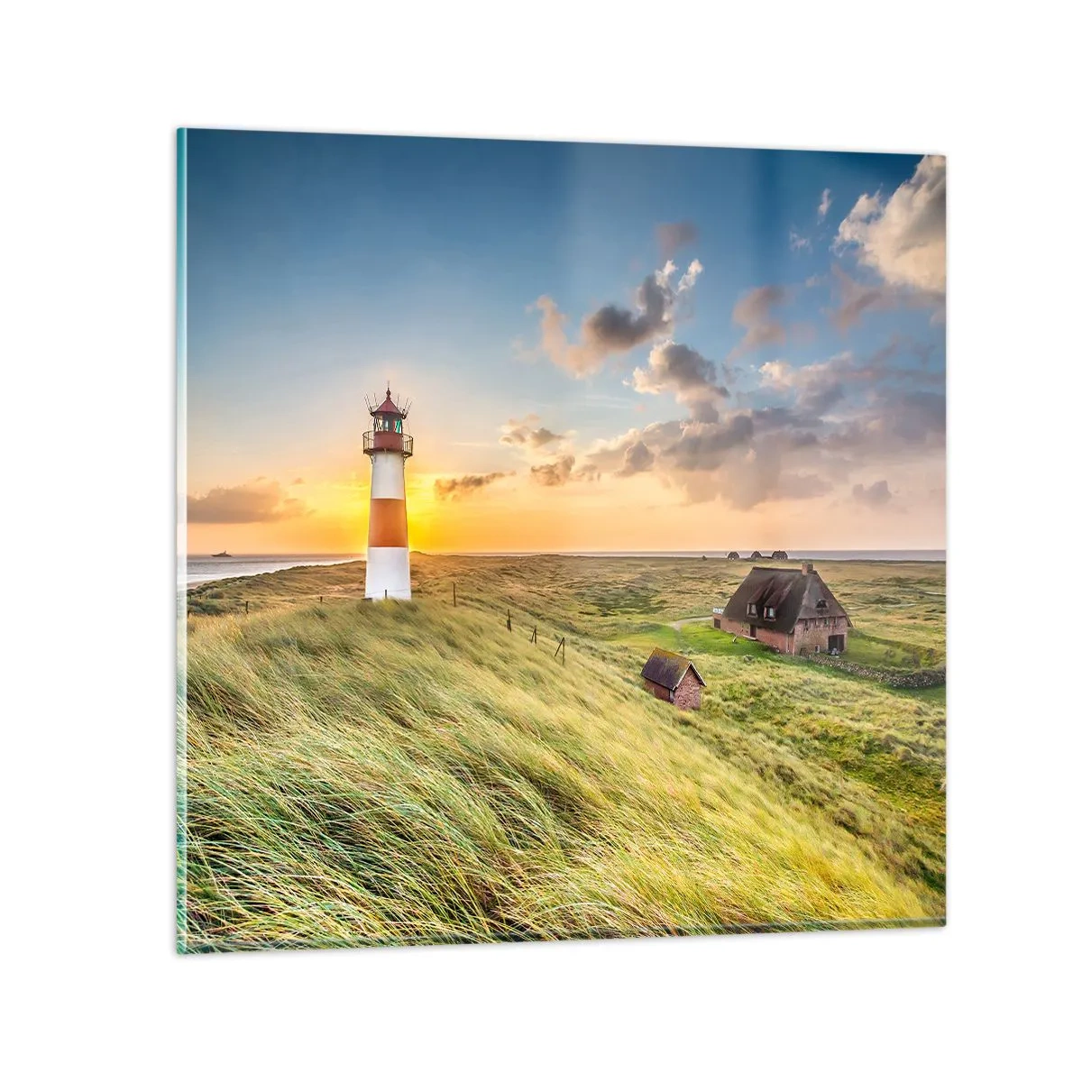 Quadro su vetro - Tra le onde - 70x70 cm