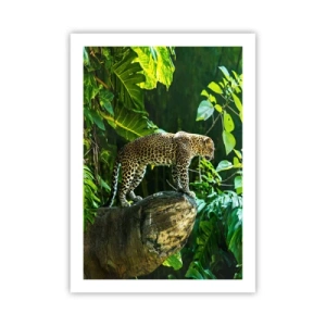 Poster - Un leopardo in piedi su una roccia in una foresta tropicale - 50x70cm - A caccia? - Decorazione murale moderna per soggiorno e camera da letto ARTTOR