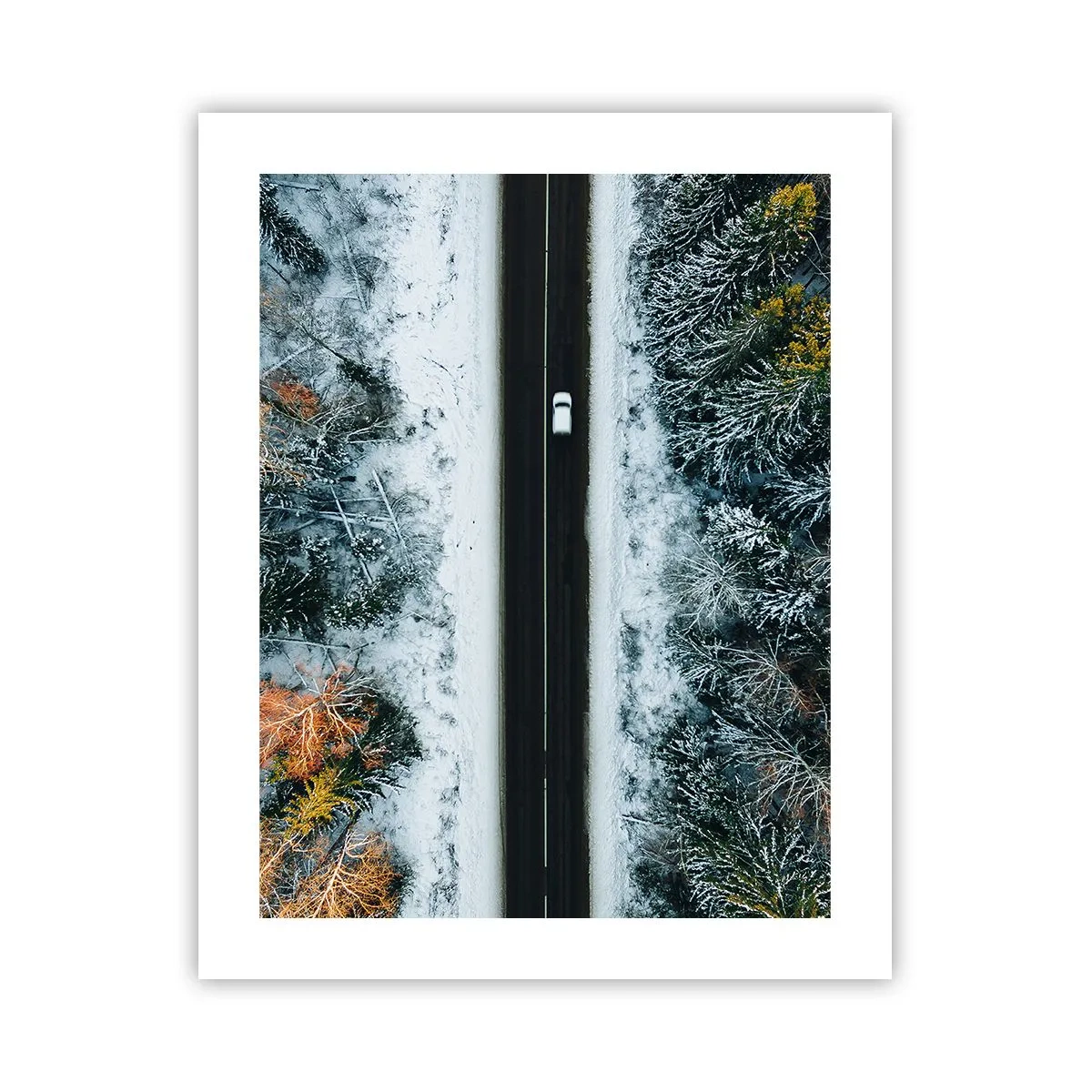 Poster - Tagliando la foresta invernale - 40x50 cm