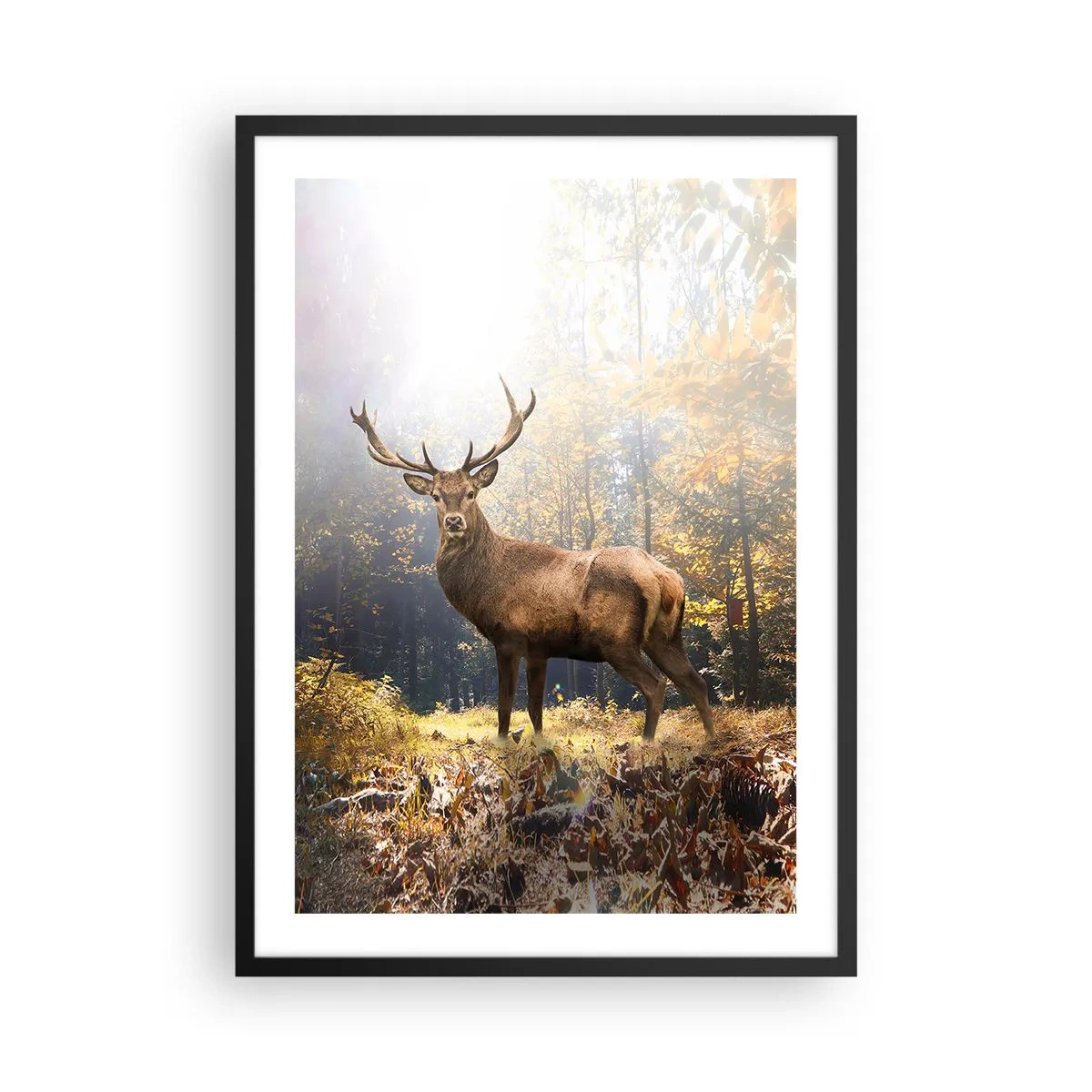 Poster in cornice nera - Un cervo in una foresta illuminata dalla luce del sole - 50x70cm - Nella piena maestà - Decorazione murale moderna per soggiorno e camera da letto ARTTOR