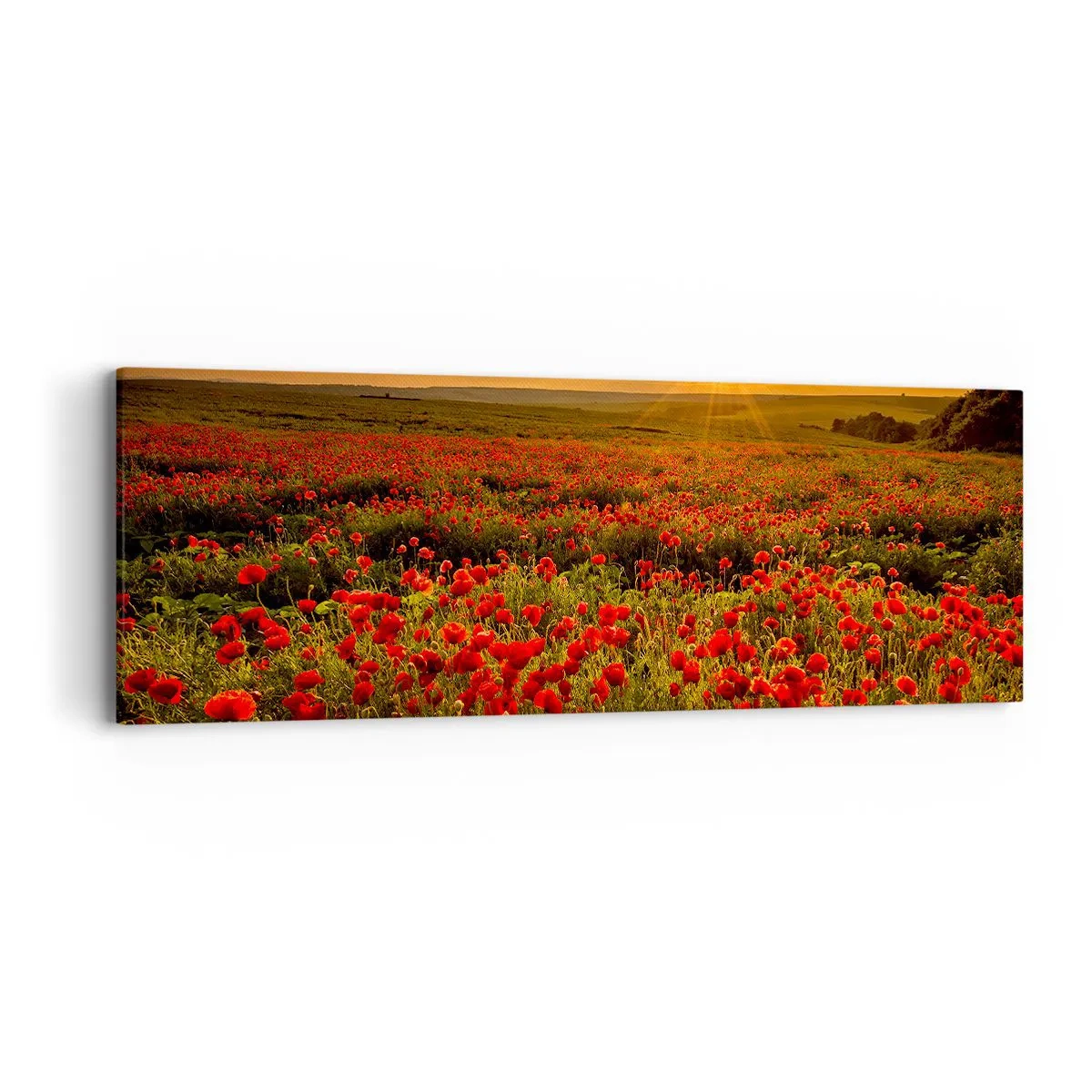 Quadro su tela - Stampe su Tela - Tra il fruscio delle erbe, in un'esplosione di fiori - 90x30 cm