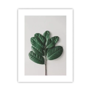 Poster - Il disegno della natura stessa - 30x40 cm