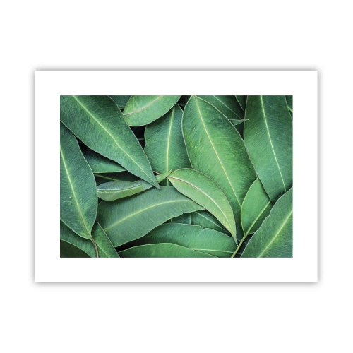 Poster - Succosi e freschi - 40x30 cm