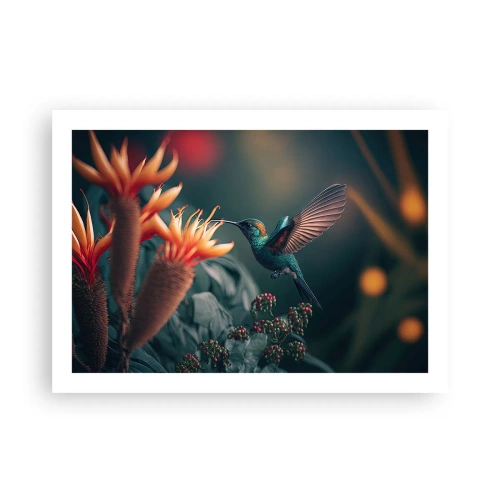 Poster - Una vita davvero a colori - 70x50 cm