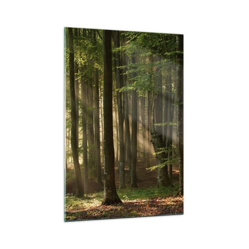 Quadro su vetro - Raggi di sole che penetrano attraverso gli alberi nella foresta - 70x100cm - Raggiante in un mattino di primavera - Decorazione murale moderna per soggiorno e camera da letto ARTTOR