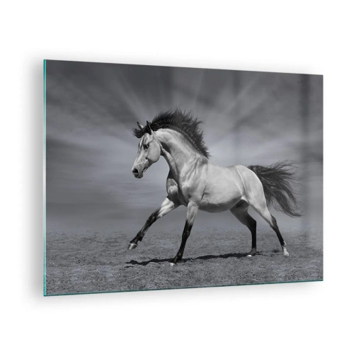 Quadro su vetro - Una foto in bianco e nero di un cavallo al galoppo in un campo aperto. - 70x50cm - Nato per affascinare - Decorazione murale moderna per soggiorno e camera da letto ARTTOR