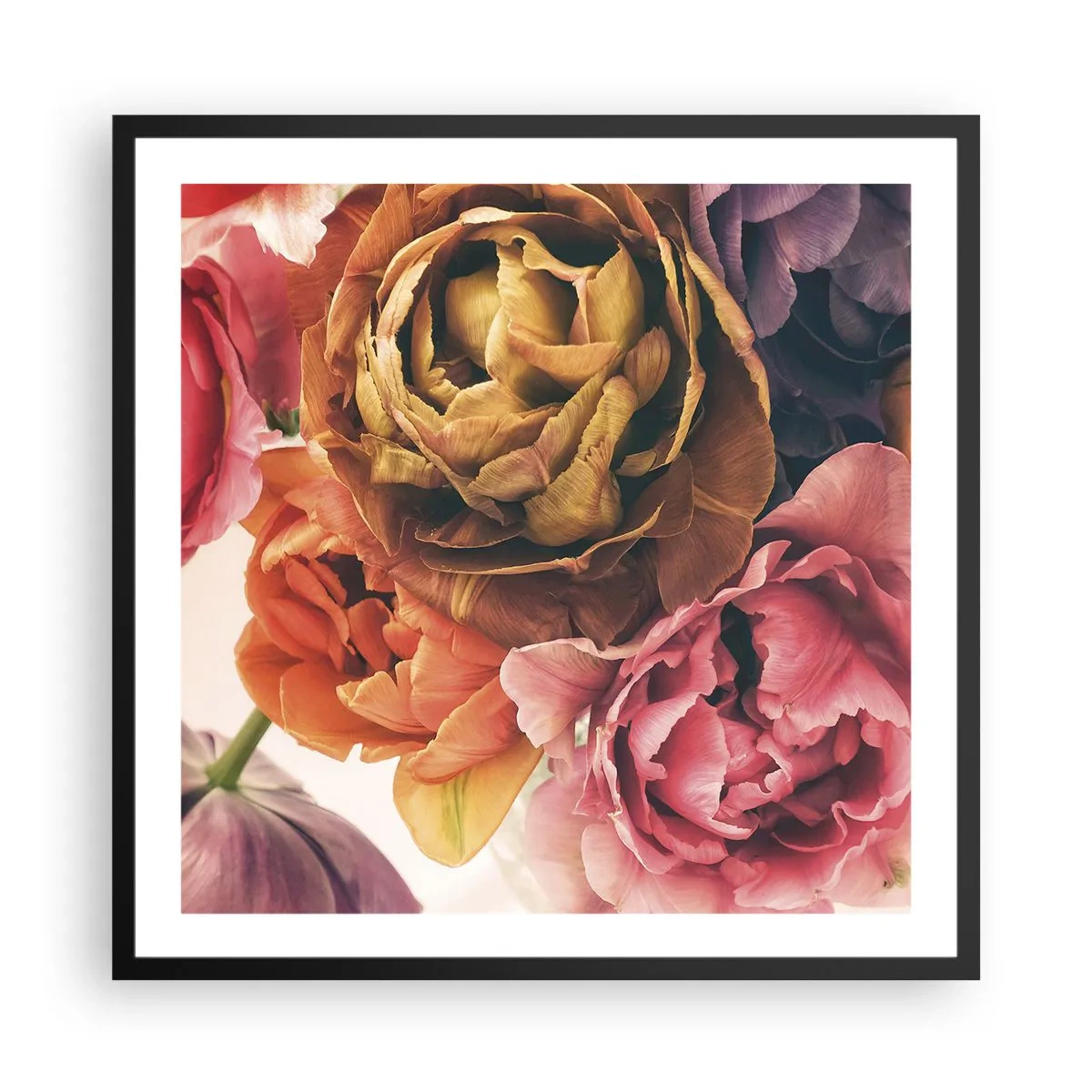 Poster in cornice nera - La festa della vita - 60x60 cm