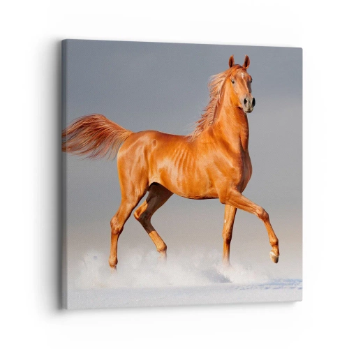 Quadro su tela - Stampe su Tela - Grazia danzante - 30x30 cm