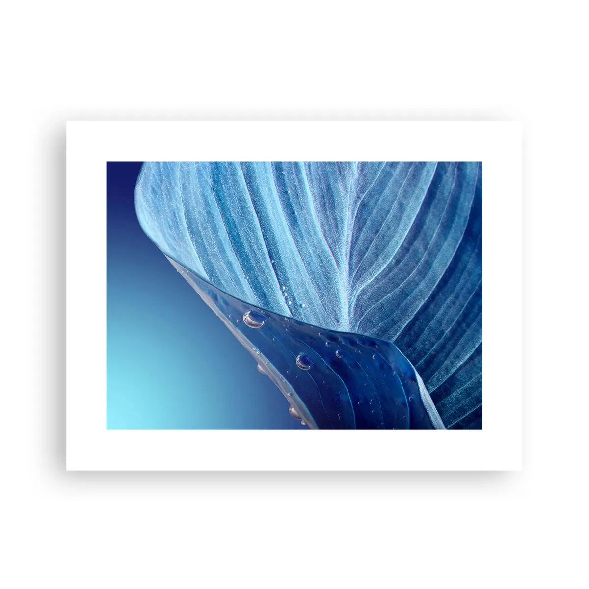 Poster - Gocce di blu nascoste - 40x30 cm