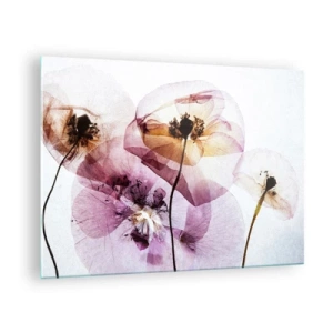Quadro su vetro - Delicati fiori in colori pastello trasparenti su uno sfondo chiaro - 70x50cm - Fiori trasparenti - Decorazione murale moderna per soggiorno e camera da letto ARTTOR