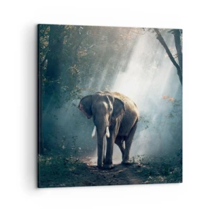 Quadro su tela - Stampe su Tela - Tranquilla passeggiata - 50x50 cm