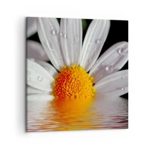 Quadro su tela - Stampe su Tela - L'alba della margherita - 50x50 cm