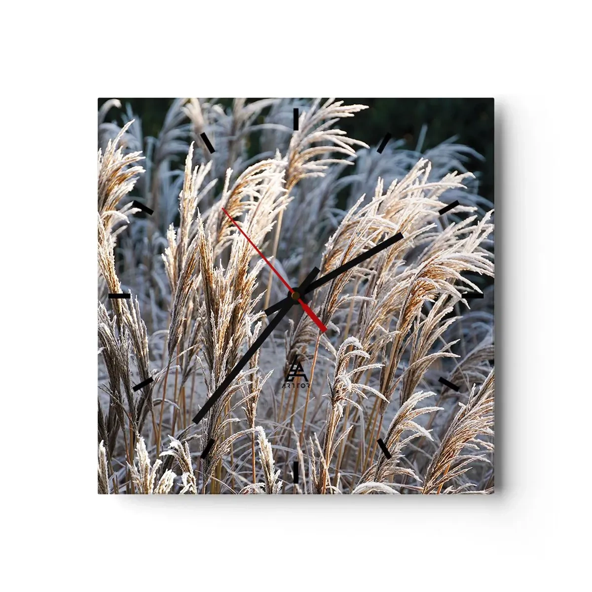 Orologio da parete - Orologio in Vetro - Fili d'erba invernali ricoperti di brina su uno sfondo verde scuro - 30x30cm - Vestite di brina - Decorazione murale moderna per soggiorno e camera da letto ARTTOR