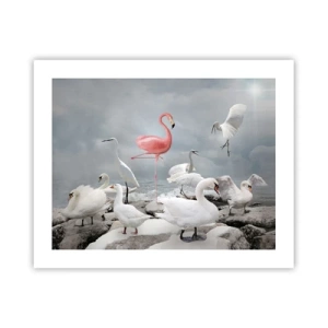 Poster - Come sono arrivato qui? - 50x40 cm