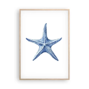 Poster in cornice rovere chiaro - Stella marina - 70x100 cm