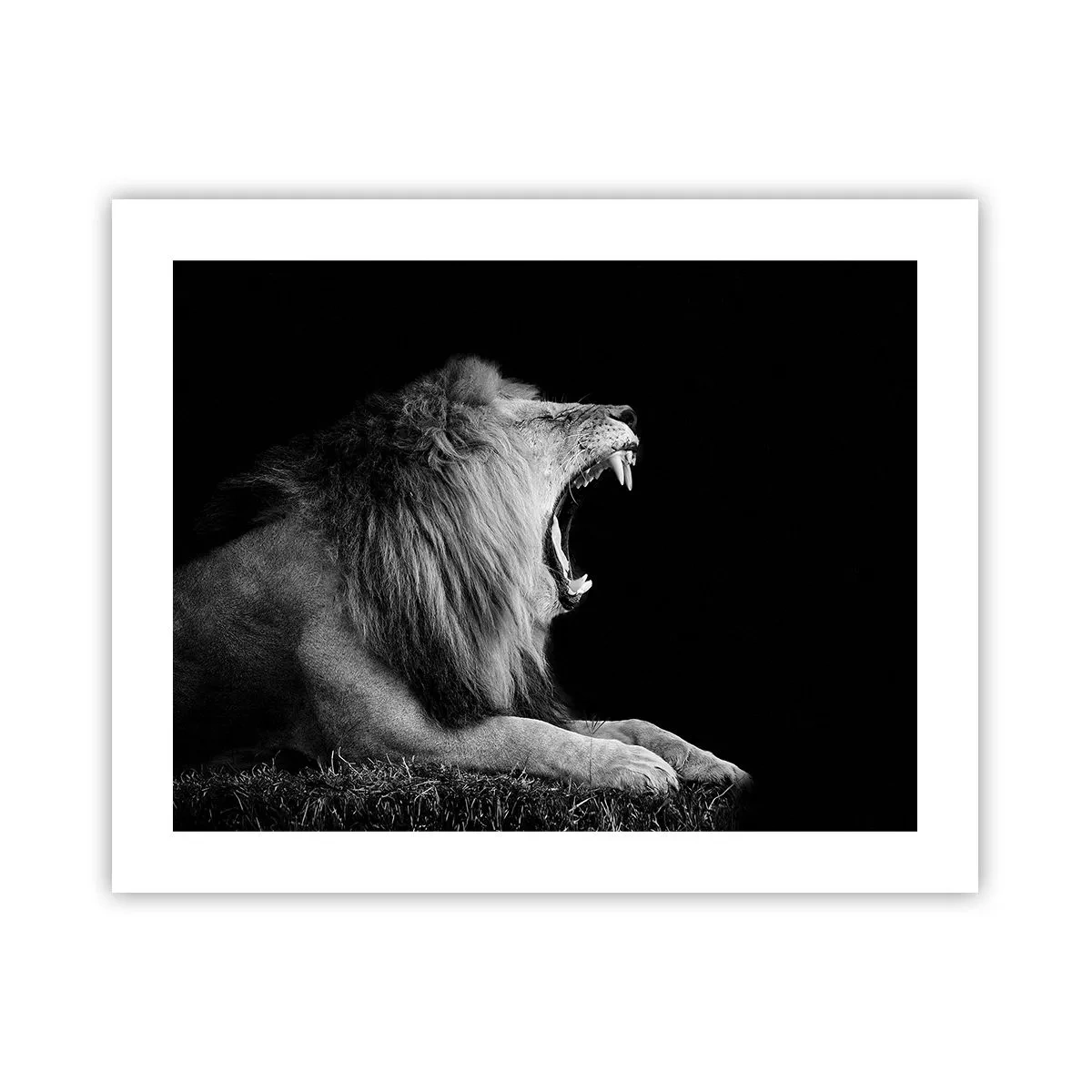 Poster - Senza alcun dubbio - 50x40 cm