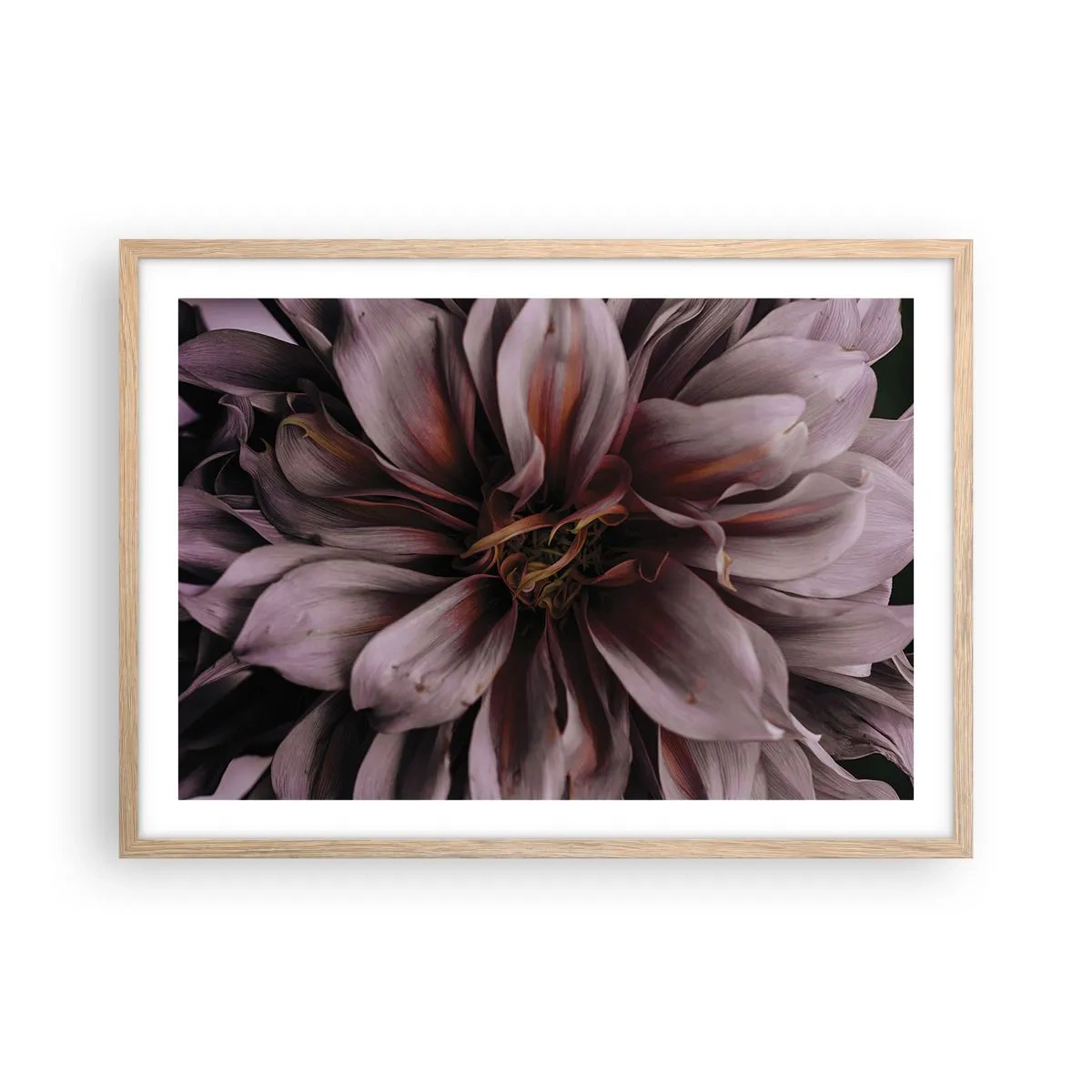 Poster in cornice rovere chiaro - Cuore d'aprile - 70x50 cm