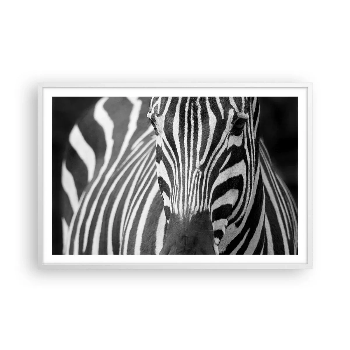 Poster in cornice bianca - Il mondo è in bianco e nero - 91x61 cm