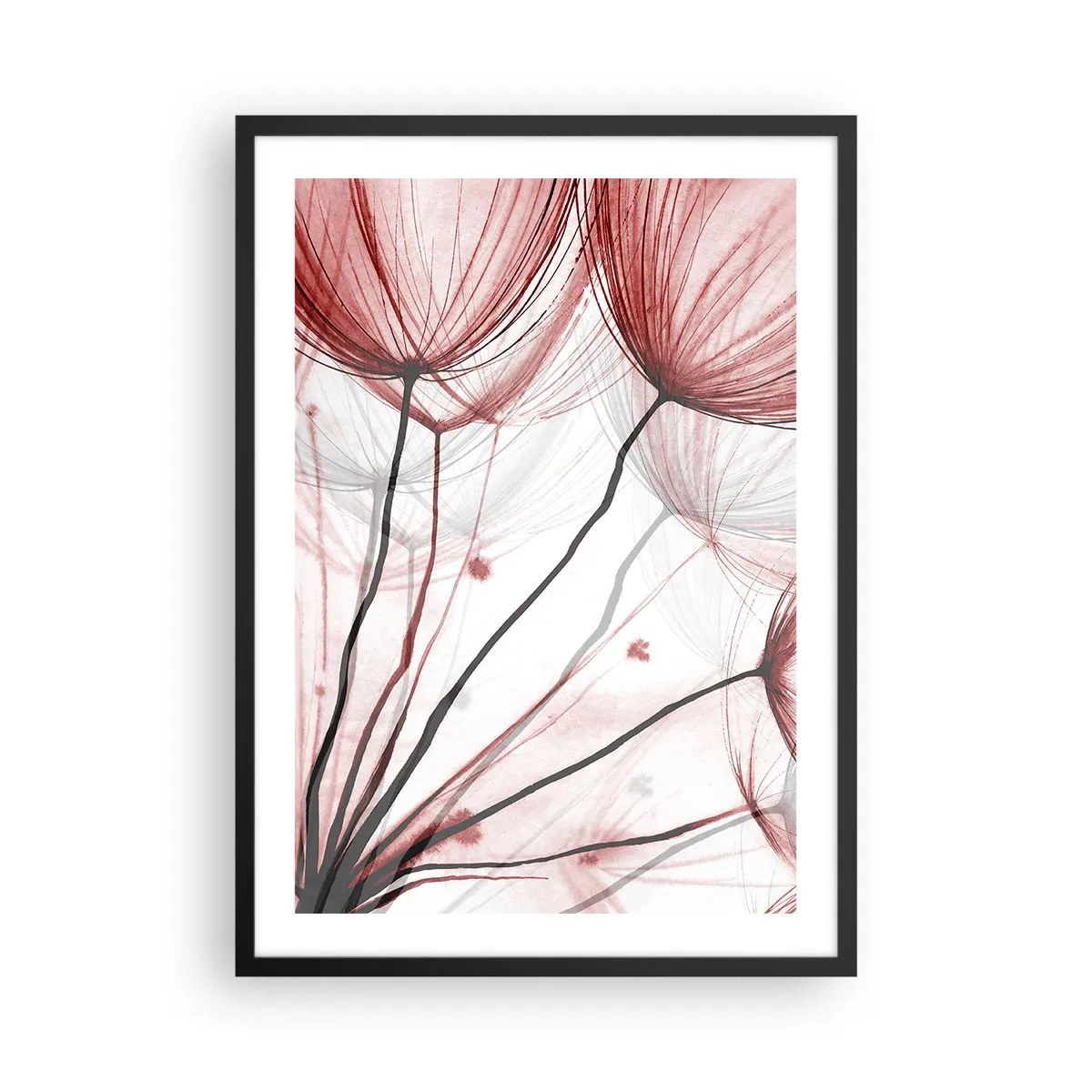 Poster in cornice nera - Delicati denti di leone nelle tonalità del rosso e del nero - 50x70cm - Prima del decollo - Decorazione murale moderna per soggiorno e camera da letto ARTTOR