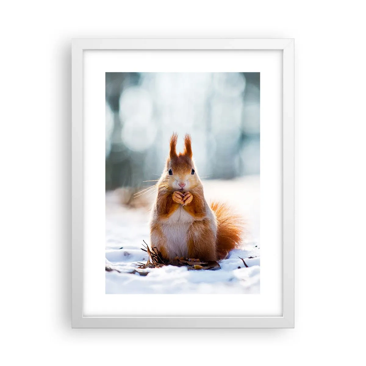 Poster in cornice bianca - Che cosa guardi? - 30x40 cm