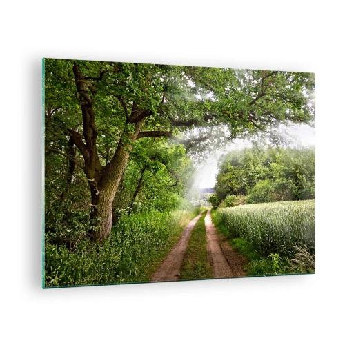 Quadro su vetro - Una strada forestale immersa nel verde sotto i raggi del sole - 70x50cm - Et in Arcadia ego - Decorazione murale moderna per soggiorno e camera da letto ARTTOR
