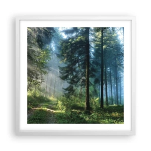 Poster in cornice bianca - Raggiante all'alba - 50x50 cm