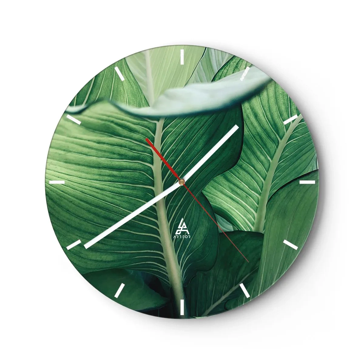 Orologio da parete - Orologio in Vetro - Una vita intensamente verde - 40x40 cm