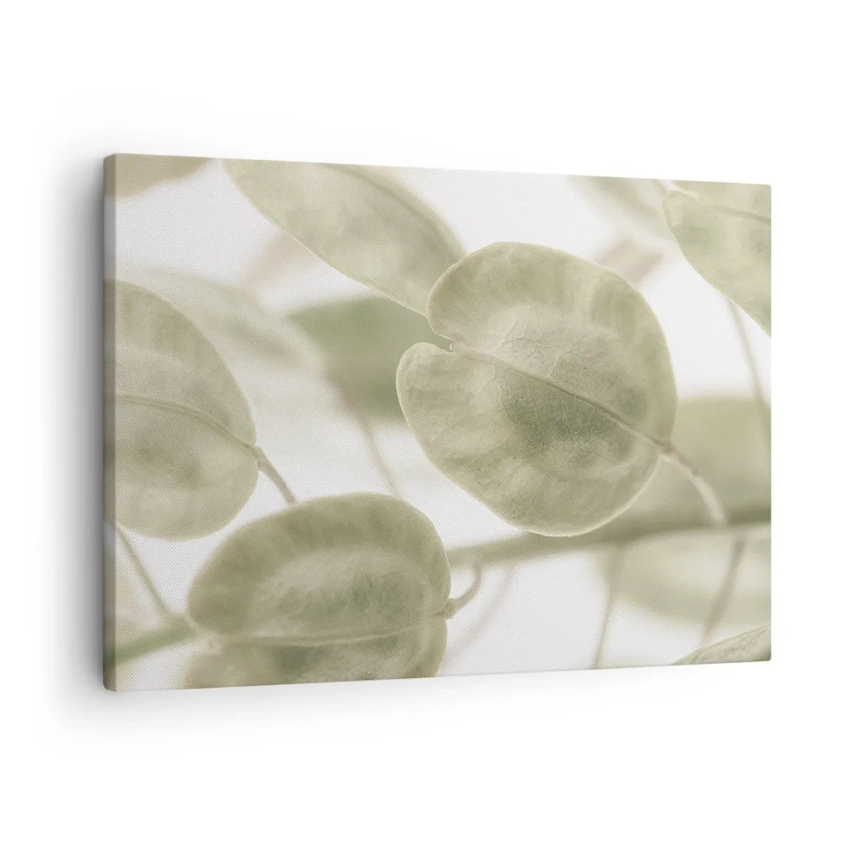 Quadro su tela - Stampe su Tela - Un delicato dipinto di foglie in tonalità pastello di verde su uno sfondo chiaro. - 70x50cm - All'inizio vi erano le foglie... - Decorazione murale moderna per soggiorno e camera da letto ARTTOR